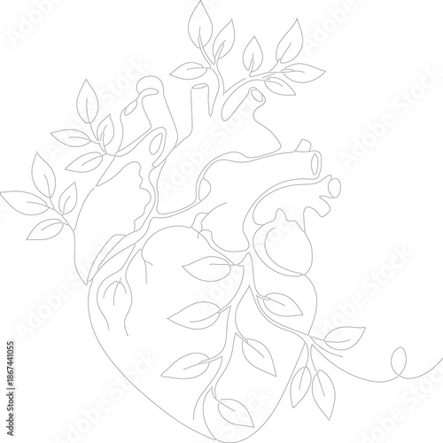 Hand drawn shape heart with cute sketch line, divider shape. Love doodle isolated on white background for wedding, mother, woman or valentines day. Vector illustration