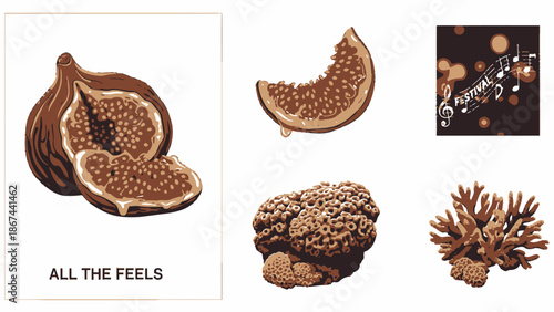 Assorted figs and chocolate illustrations on white background.