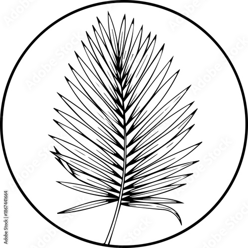 Elegant palm frond botanical illustration inside a circle, perfect for sophisticated branding and tropical designs, originally a scalable vector graphic