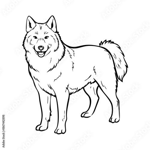 Highly detailed Alaskan Malamute sketch with clean line art illustration on plain white background. Alaskan Malamute sketch captures majestic canine profile, perfect for animal art.