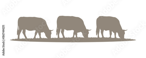 silhouettes of grazing cattle in bright vector colors

