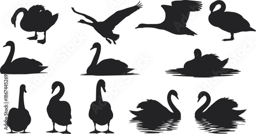 Collection of swan silhouettes in various poses and flying