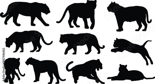 jaguar, silhouette, animal, predator, cat, wild, black, shape, isolated, transparent, graphic, design, vector, illustration, collection, set, pose, standing, walking, jumping, lying, outlines, templat