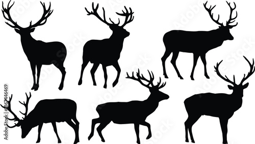 deer, silhouette, antler, stag, animal, wildlife, nature, hunting, forest, illustration, vector, design, element, clipart, isolated, outline, dark, shape, male, mammal, cervidae, buck, reindeer, carib