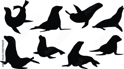 sea lion, silhouette, animal, wildlife, ocean, vector, illustration, clip art, graphic, design, marine, mammal, sea, water, swimming, playing, cute, pose, walking, standing, lying, set, collection, is