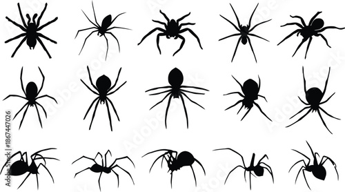spider, silhouette, vector, arachnid, insect, halloween, spooky, arachnophobia, black, shape, design element, isolated, monochrome, graphic, illustration, collection, various, simple, stencil, decorat