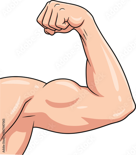 Vector illustration of a flexing muscular human arm showing bicep strength for fitness bodybuilding and power concepts.