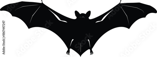 Flying bat silhouette illustration, black vampire bat with open wings, isolated on white background, perfect for Halloween and spooky designs