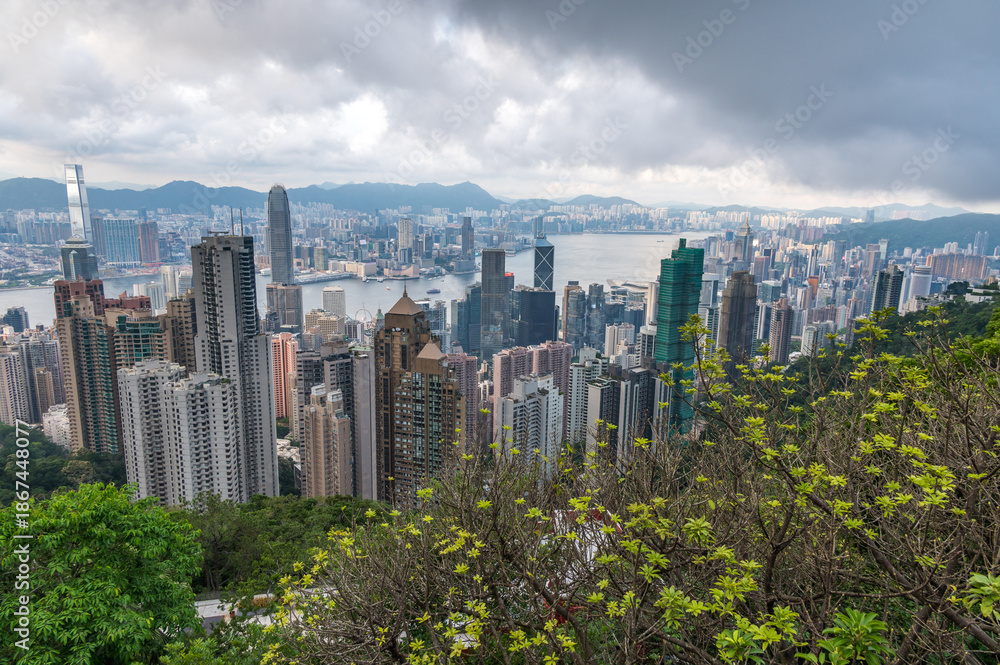 Fototapeta premium View of Hong Kong and Kowloon from Victoria peak. Panorama of Hong Kong, skyscrapers and nature.