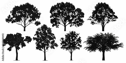 Silhouettes of various deciduous trees against a clean white background