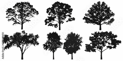 A collection of six black silhouette trees with varied foliage shapes