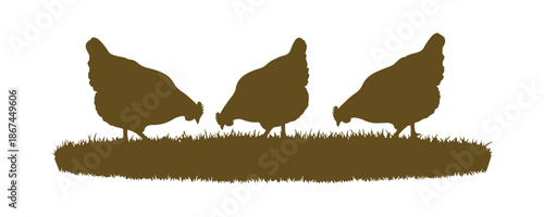 vector art of three colorful hens grazing on grass, all isolated on a white backdrop.
