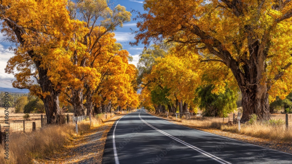 Obraz premium Scenic Autumn Road with Golden Trees: A Picturesque Landscape for Travel and Seasonal Themes