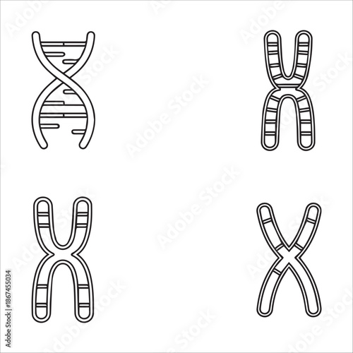 Vector  dna or chromosome line icons set in flat style