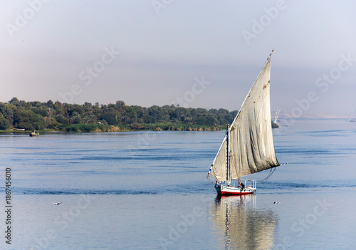 Tradycyjna egipska feluka płynąca po Nilu, łódź żaglowa na tle palm i rzeki o poranku, turystyka i krajobraz Egiptu, Afryka.