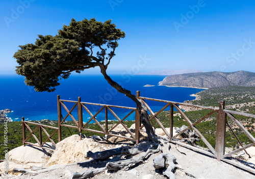 Samotne drzewo na klifie z widokiem na błękitną zatokę – malowniczy punkt widokowy na wyspie Rodos w Grecji