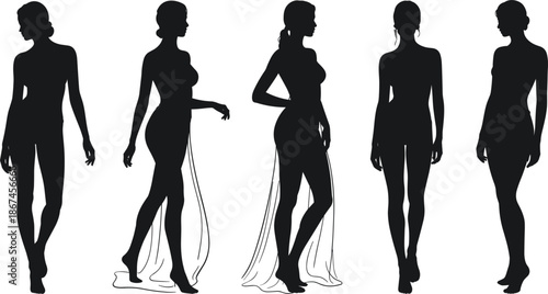 Silhouettes of women in elegant dresses on a white background woman female