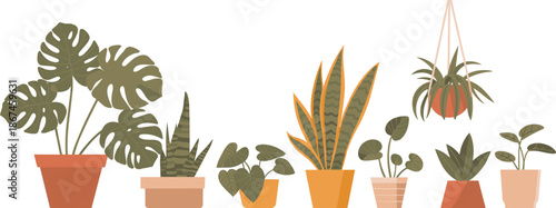 Potted houseplants, indoor greenery, decorative pots, plant care, leaf variety, hanging planter, terracotta style, home decor, botanical art, minimalist design