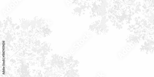 Delicate branches and foliage create a soft muted natural frame