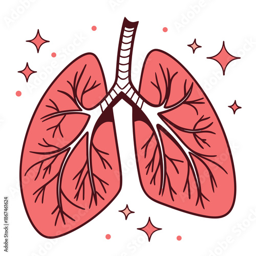 Cute stylized human lungs vector illustration with sparkles. Pink anatomical respiratory organ isolated on white background.