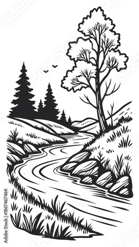 Serene forest stream