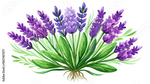 Very beautiful watercolor painting of a fragrant lavender bouquet with delicate purple blossoms and soft green leaves, expressing calm elegance, botanical beauty, and a peaceful natural mood.