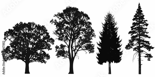 Silhouette of various trees including deciduous and evergreen species