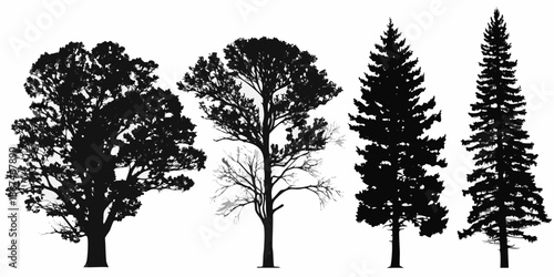 Silhouettes of four different trees against a plain white background