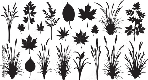 Black and white silhouettes of various leaves and plants on white background