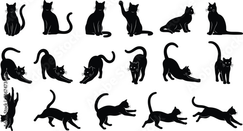Cat silhouette collection featuring black vector designs of domestic felines sitting stretching jumping and running for pet shop and animal welfare branding.