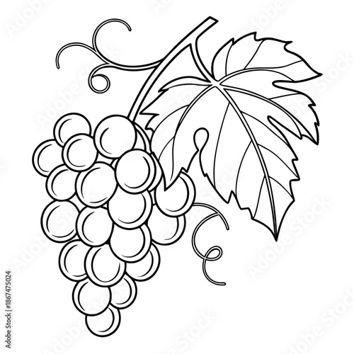 Grapes Outline Icon Minimalist Fruit Vector Design