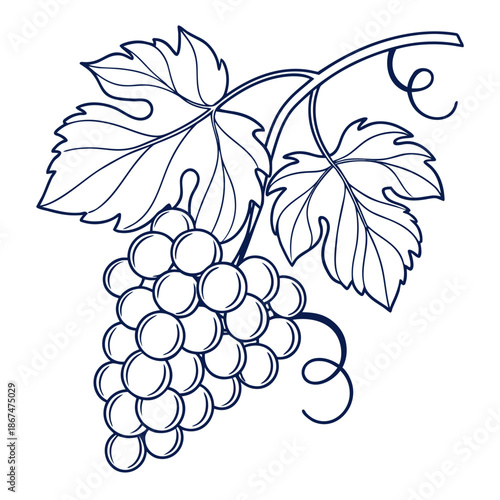 Minimalist Grapes Fruit Icon Line Vector Art