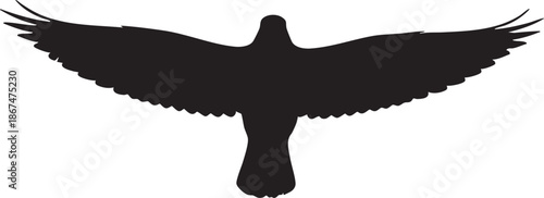 Black bird silhouette with wings spread wide in flight against white background 1