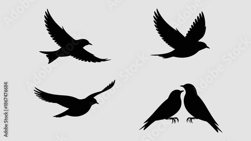 a striking silhouette depiction showcases four birds in various flight poses against a plain background emphasizing freedom and nature s beauty high quality professional detailed modern