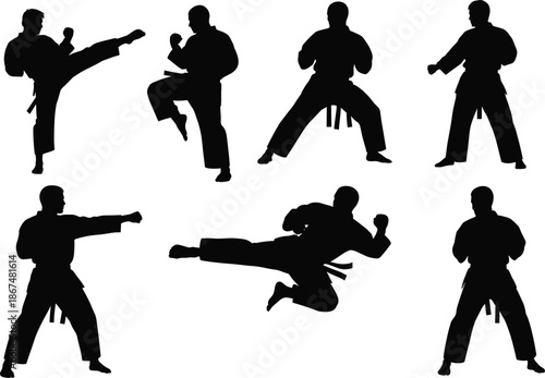 Martial Arts Silhouette Set – Dynamic Poses in Combat