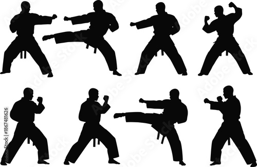 Martial Arts Silhouettes – Eight Dynamic Combat Poses