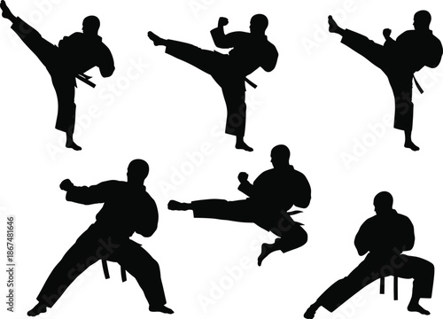 Martial Arts Silhouettes – High Kick and Combat Stances