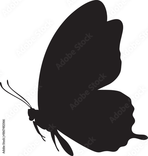 Black butterfly silhouette with long antennae and wings spread wide 1