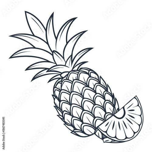 vector illustration of pineapple