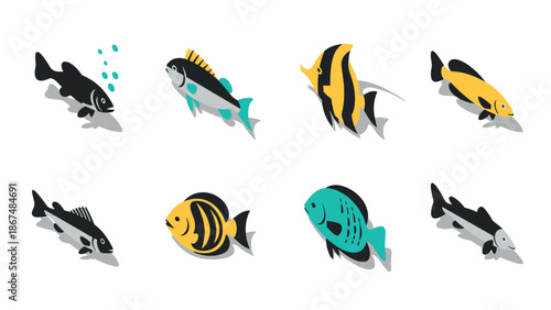 Colorful fish icons in isometric style on white background