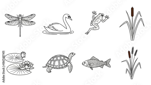 Black and white illustration of various aquatic animals and plants including dragonfly, swan, frog, cattail, water lily, turtle and fish in a serene pond environment.