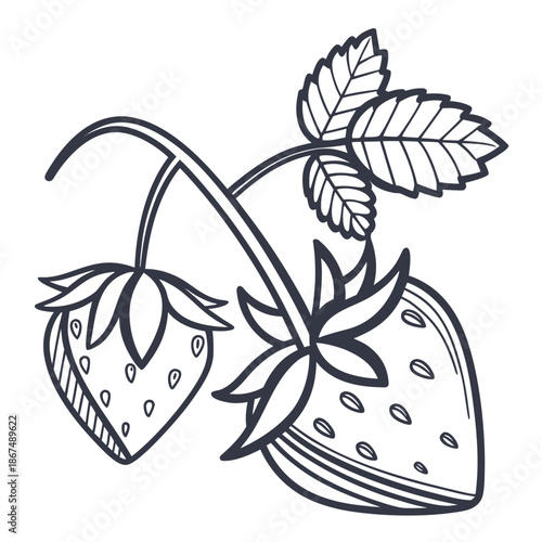 Minimal Plus Add Icon Vector Art - White Background