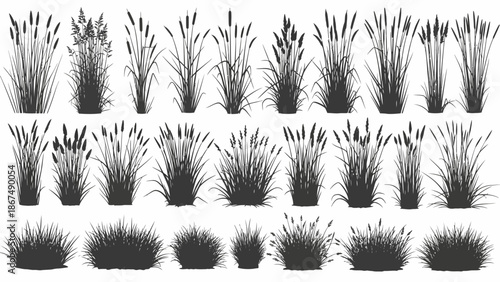 Collection of various grass and plant silhouettes against a white background