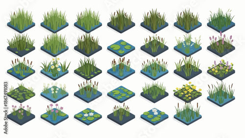Collection of Various Plants and Flowers Illustrated in Isometric View