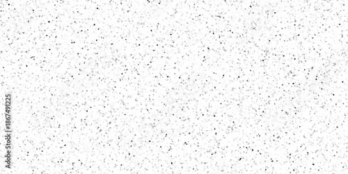 Fine grain terrazzo pattern with small abstract speckles. micro fragments creating an airy light effect across a white backdrop. polished terrazzo surface with faint gray and black specks.