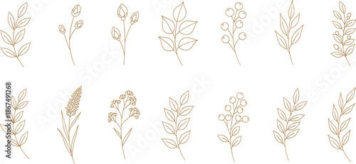 Gold floral branch collection featuring minimal line art vector designs of leaves berries and wild meadow herbs for elegant wedding invitation stationery.
