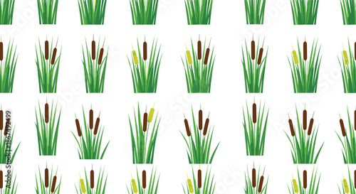 Seamless Cattail Reed Plant Pattern Illustration with Green Marsh Grass, Wetland Nature Texture Background for Eco and Botanical Designs