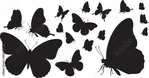 Black butterfly silhouettes on white background nature 27