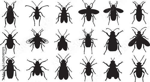 Black insect silhouettes arranged in a grid pattern on a white background black insects bug shapes