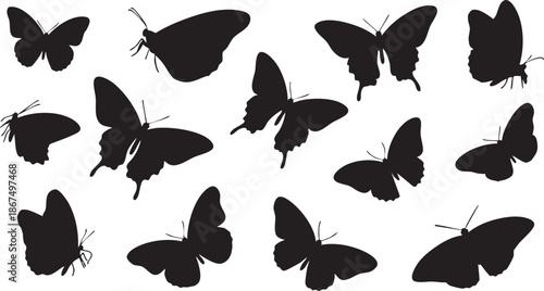 Black silhouette butterflies with antennae on white background 1